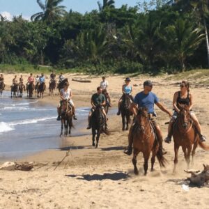 Horseback Riding Adventure
