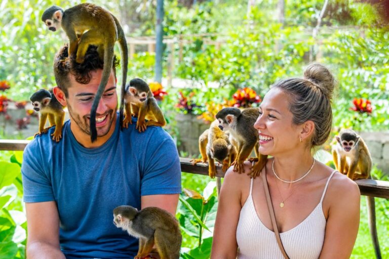Aventura Monkeyland