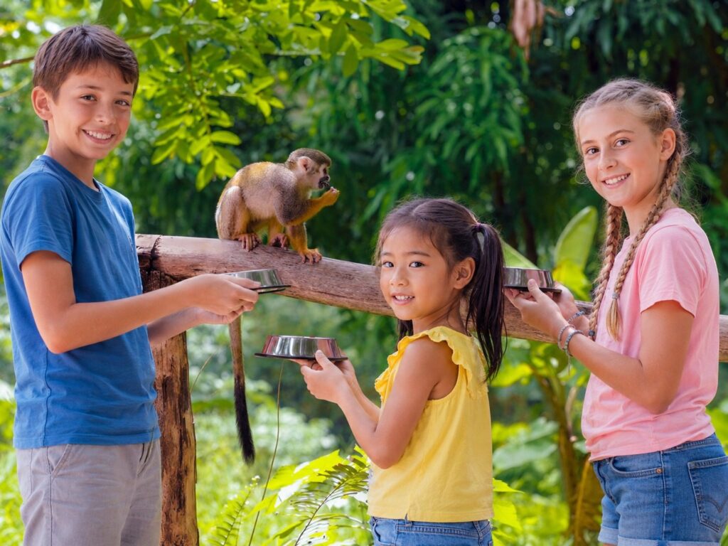 Monkeyland Adventure 4