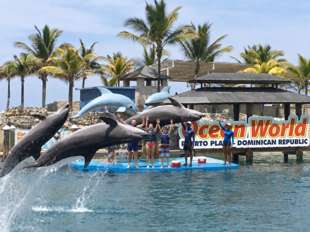 Ocean World Adventure 2