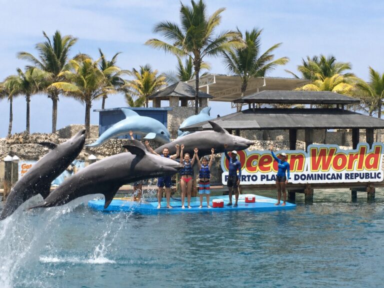Ocean World Adventure Park