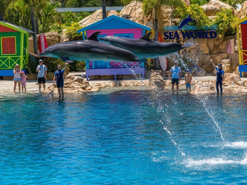 Ocean World Adventure 5