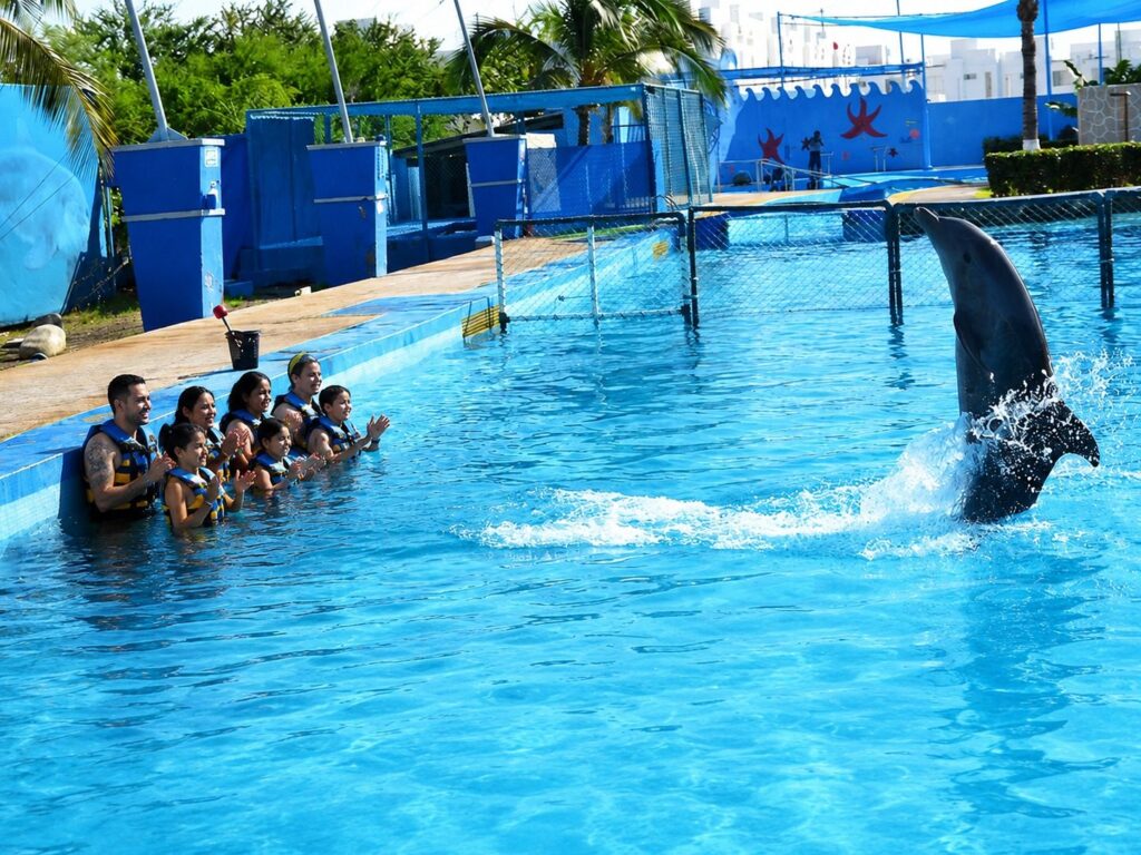 Ocean World Adventure 6